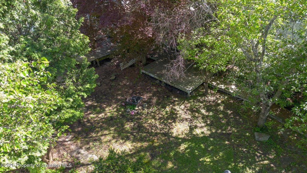 Picture 7