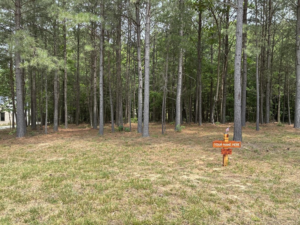 Picture 33