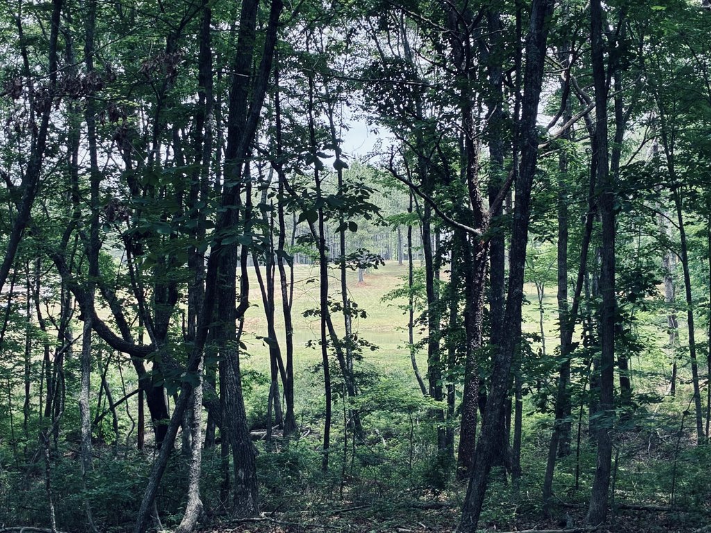 Picture 34