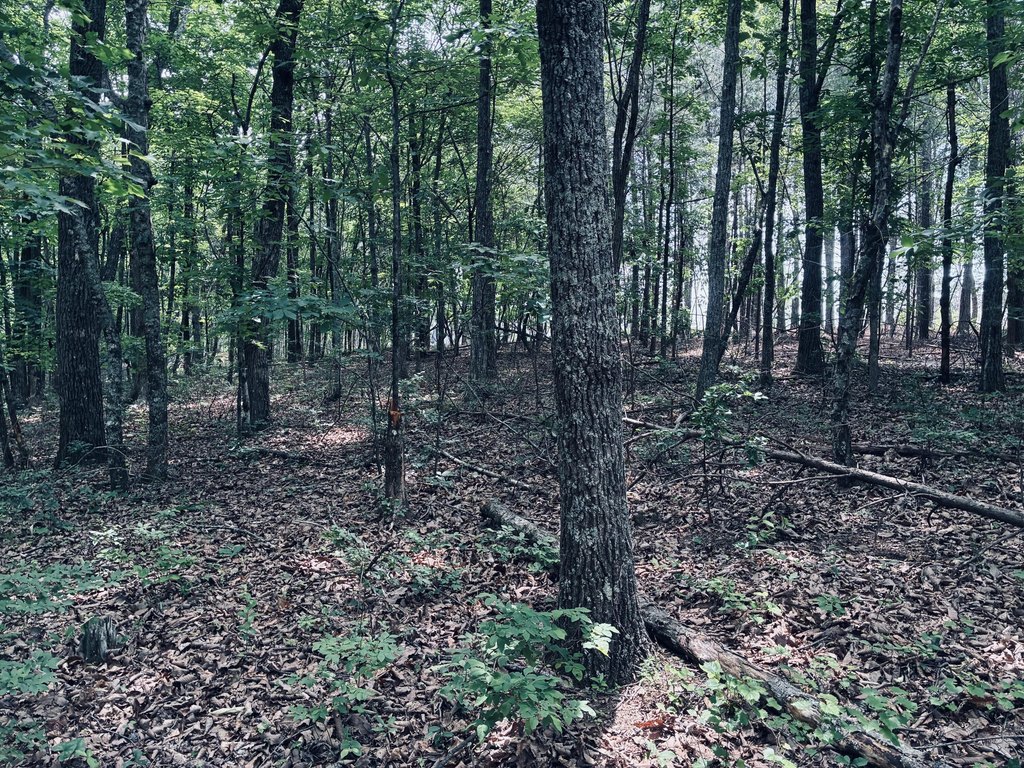 Picture 37