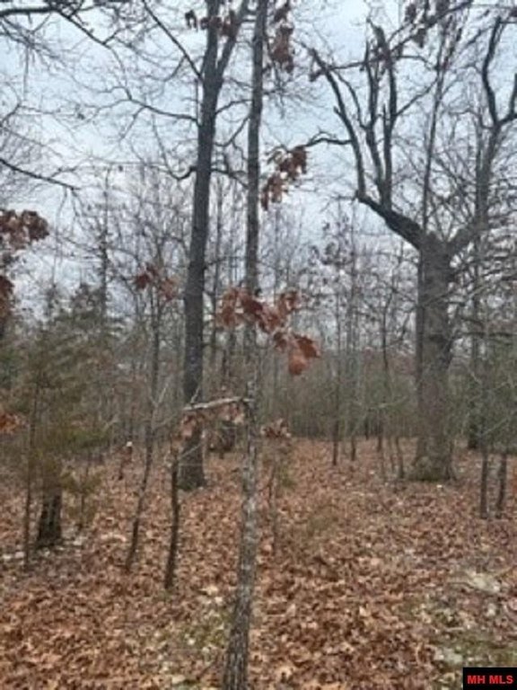 Picture 14