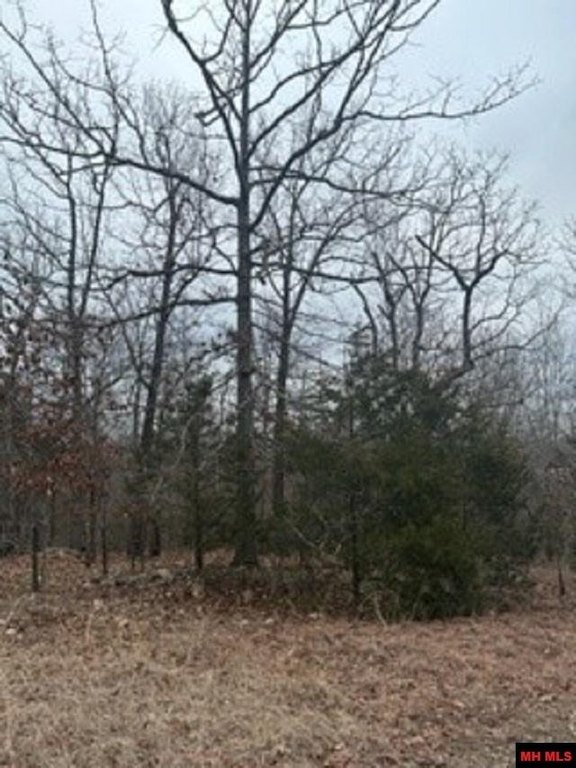 Picture 11
