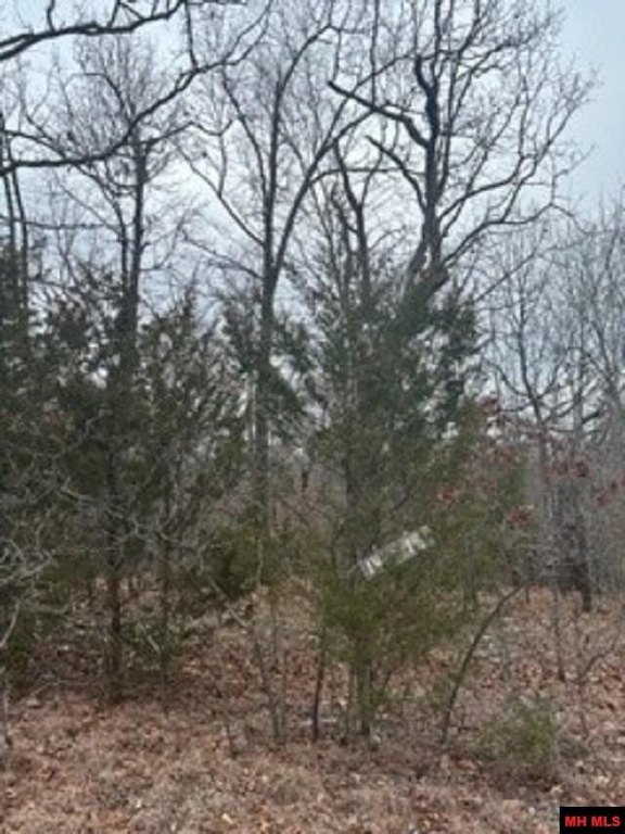 Picture 16