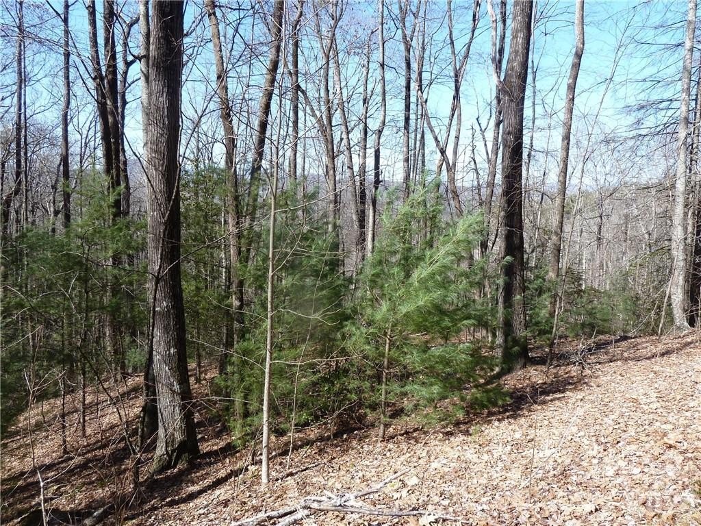 Picture 38