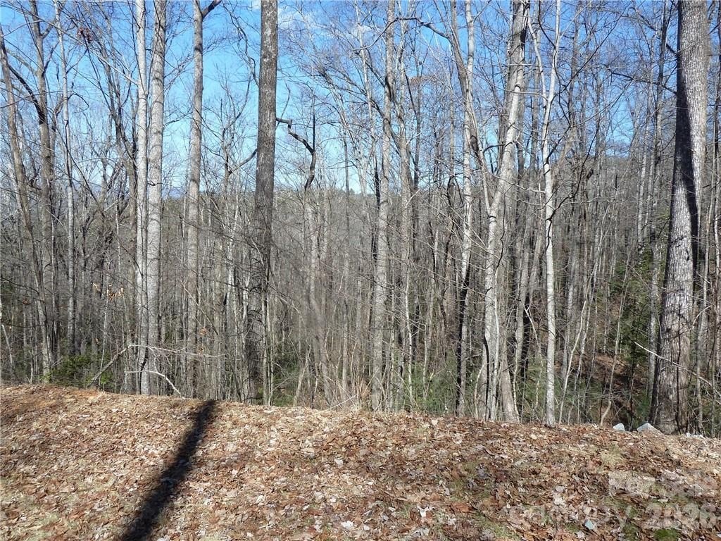 Picture 36