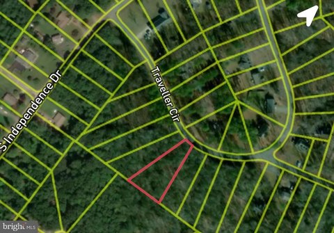 Wood Lot in Coastal Virginia