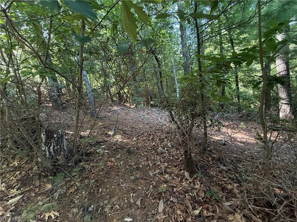 Picture 16