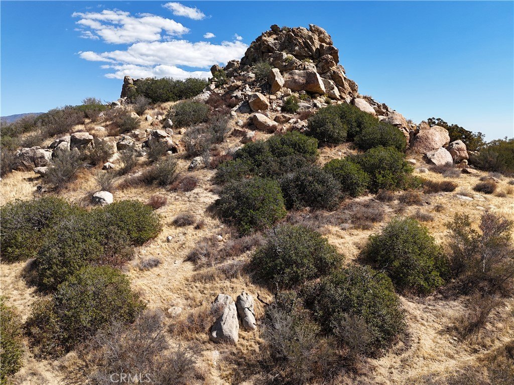 Picture 28