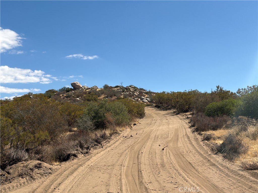 Picture 12