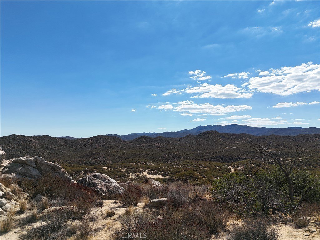 Picture 20