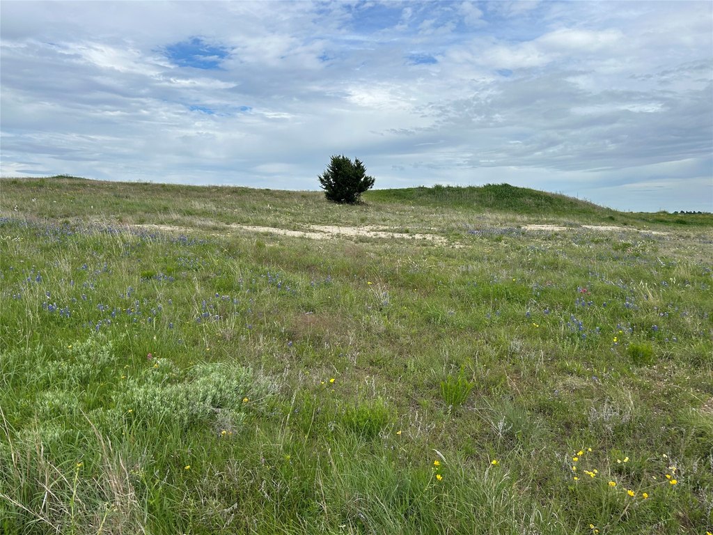 Picture 19