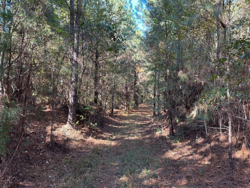 Picture 6