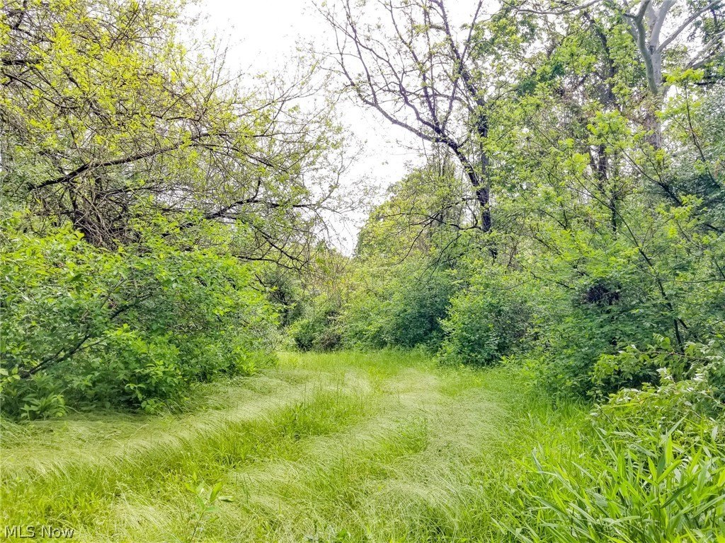 Picture 31
