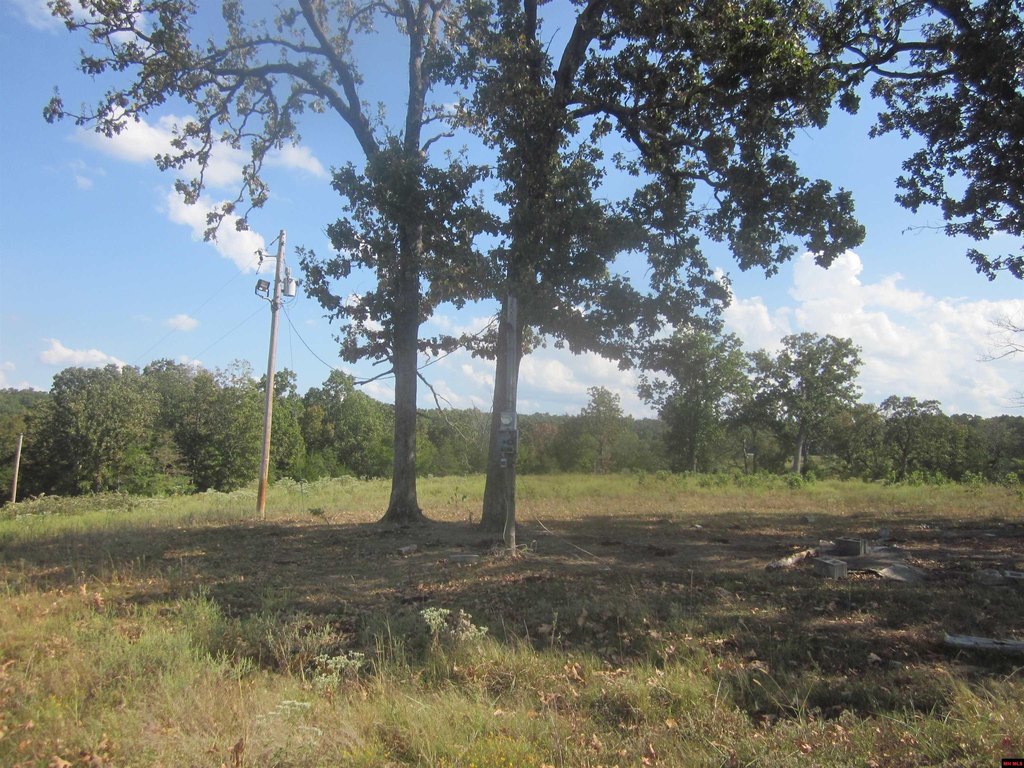 Picture 19