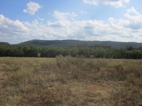 LAND, Yellville, AR