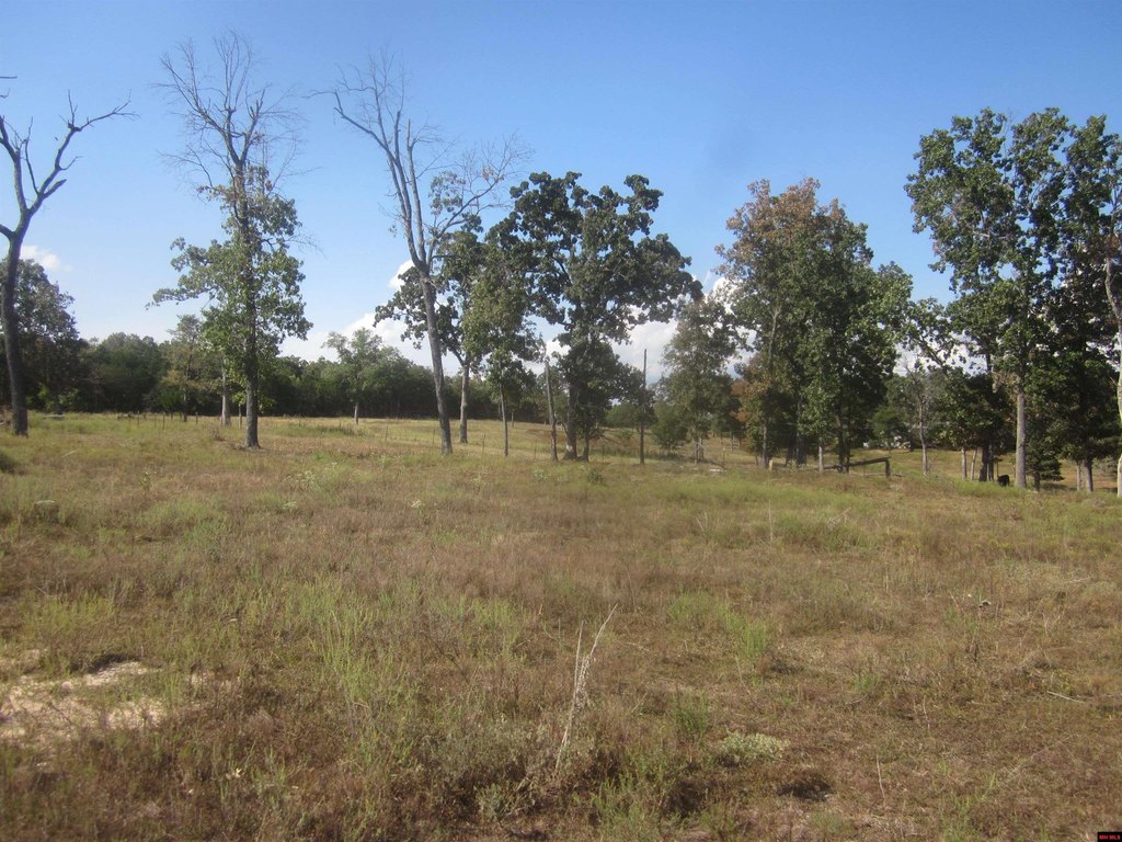 Picture 22