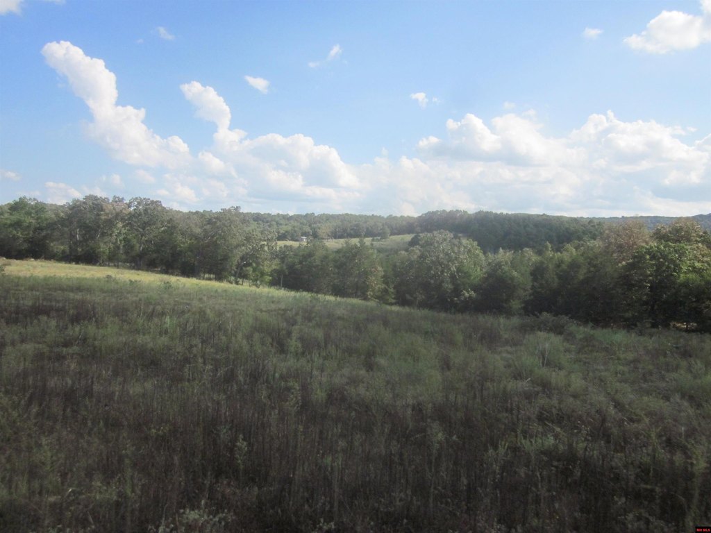 Picture 11
