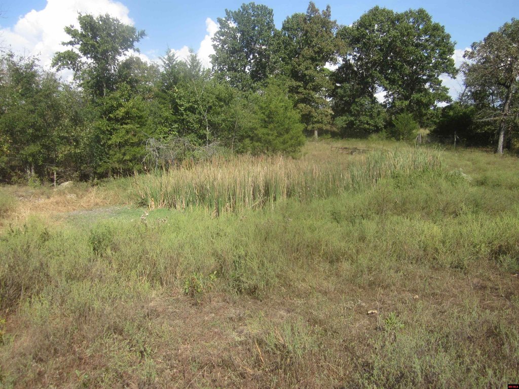 Picture 16