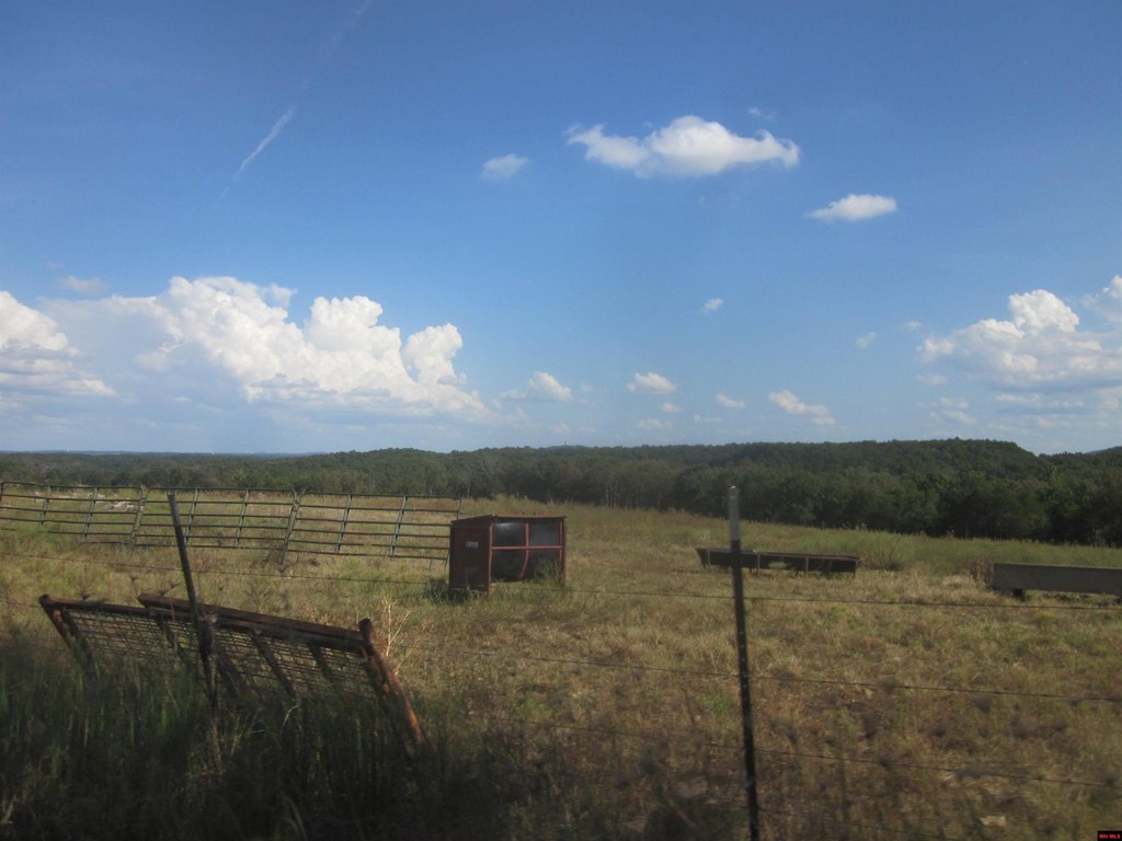Picture 24