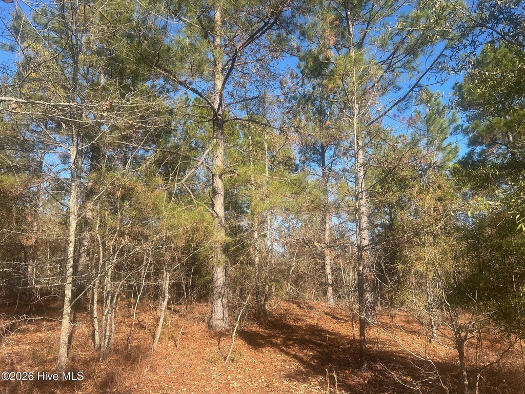 Picture 3