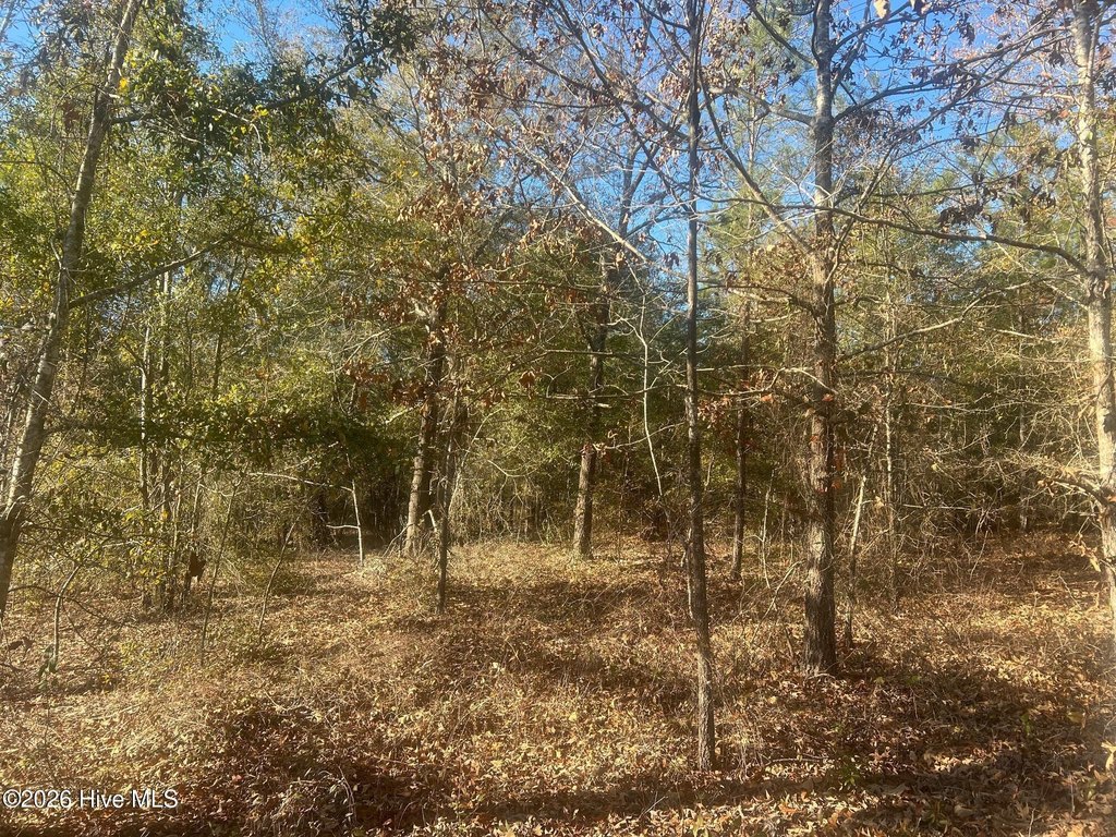 Picture 4