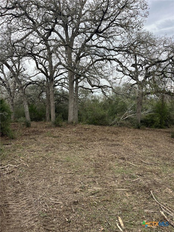 Hallettsville Land with Owner Financing