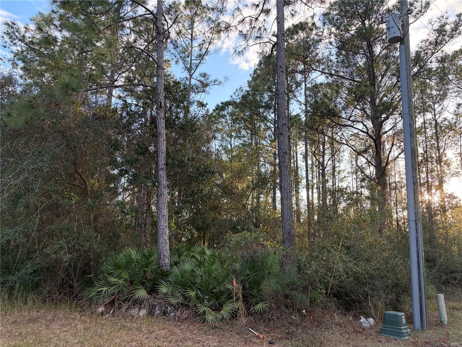 Clermont Land For Sale