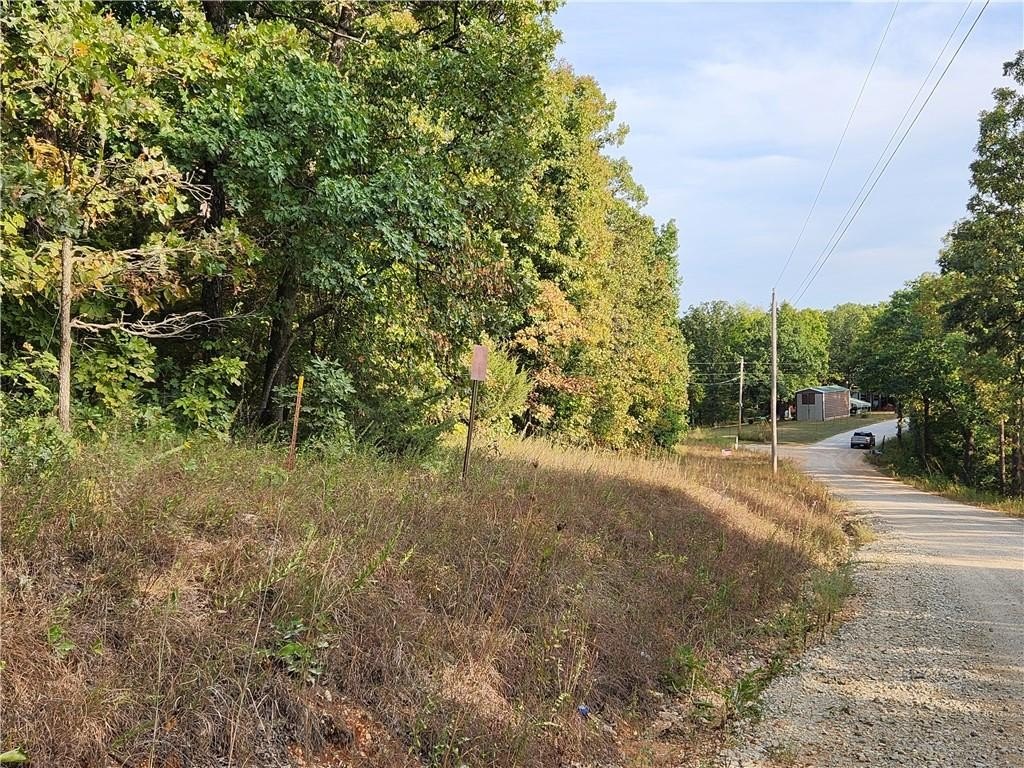 Wooded Land Near Lake