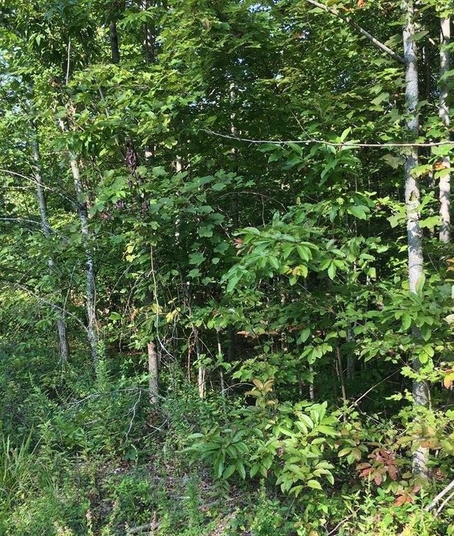 Picture 4