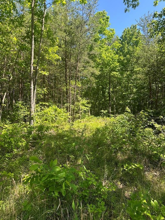 Picture 15