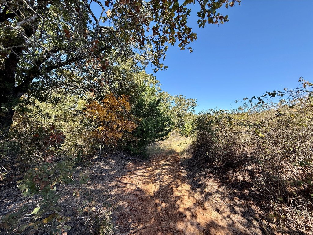Picture 20