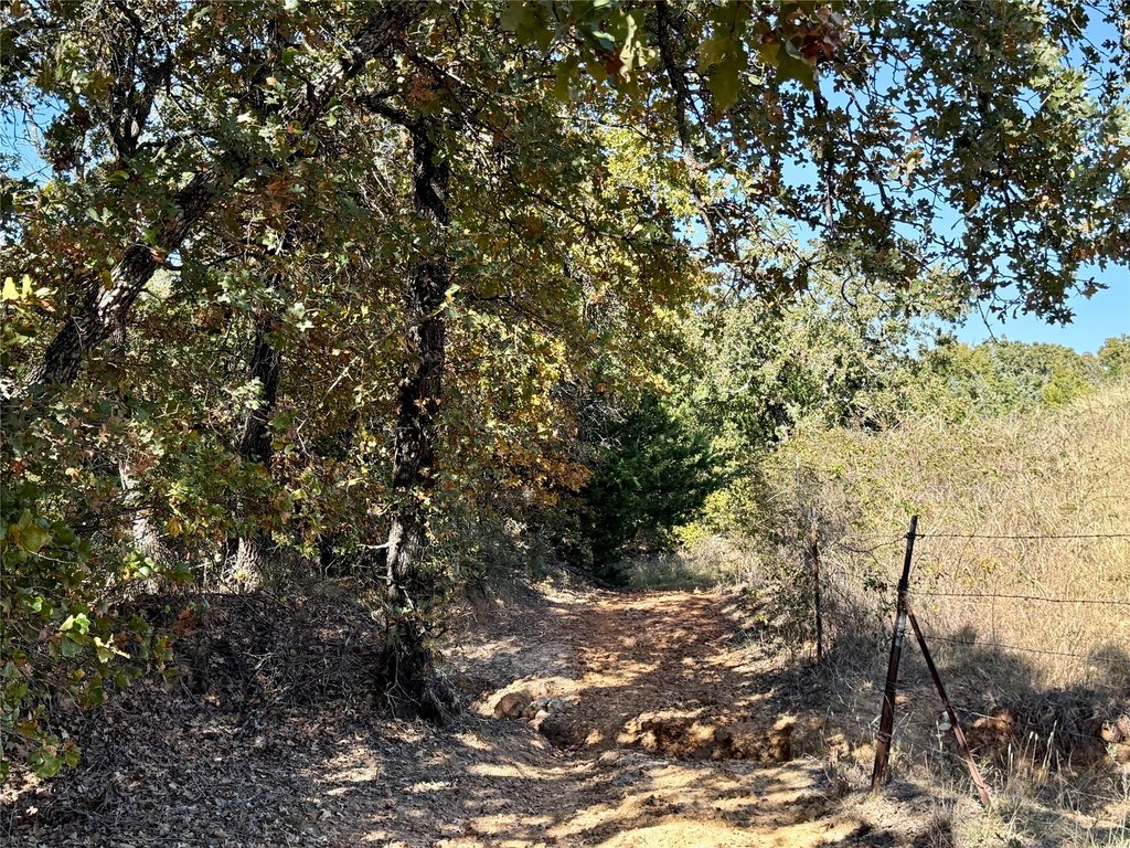 Picture 16