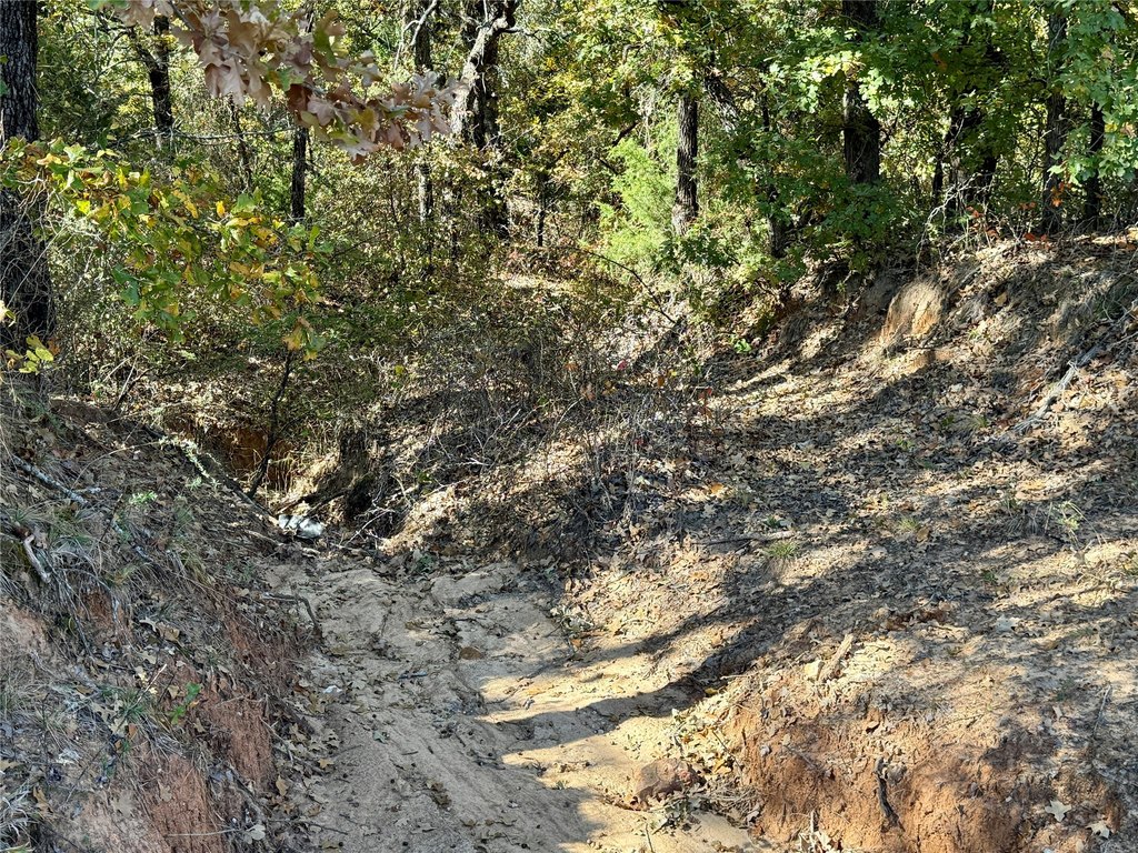 Picture 19