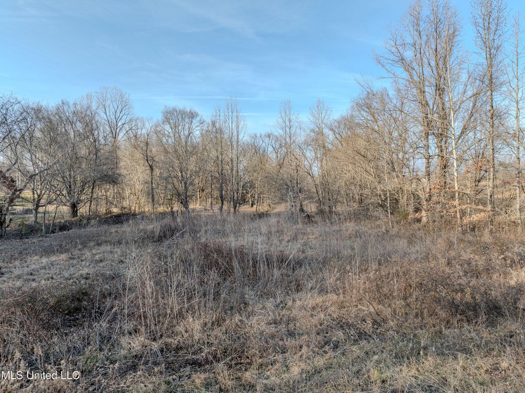 Picture 17