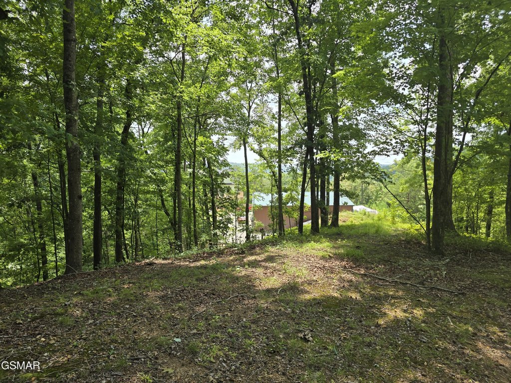 Picture 14