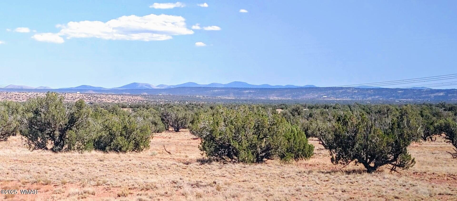Concho, AZ Land Parcel