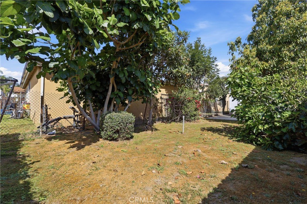 Picture 24