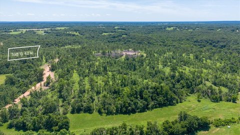 LAND - Goodman, MO