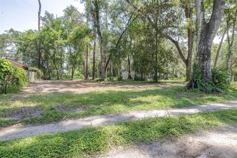 LAND - WEBSTER, FL