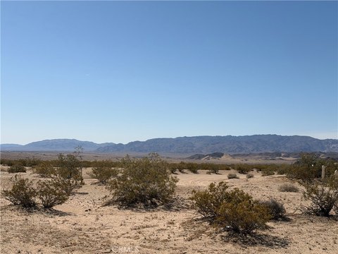 Generous 5-Acre Joshua Tree Parcel