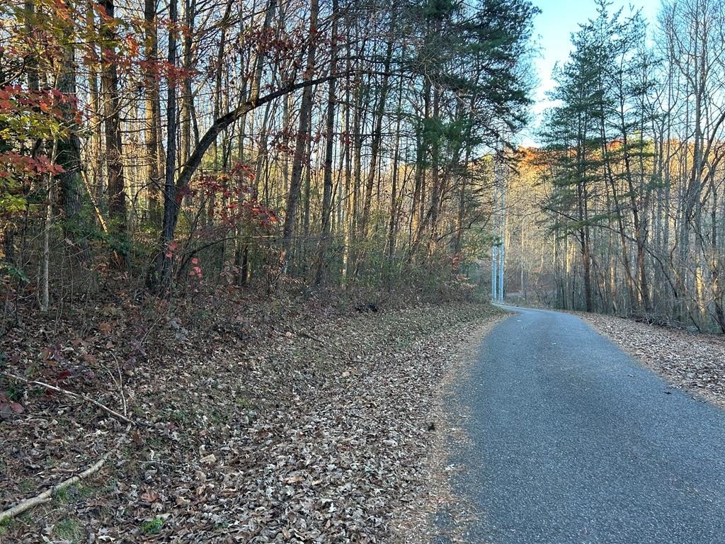 Blairsville Vacant Land Near Marina