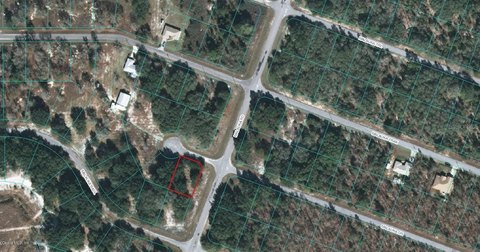 Ocklawaha, FL Land For Sale