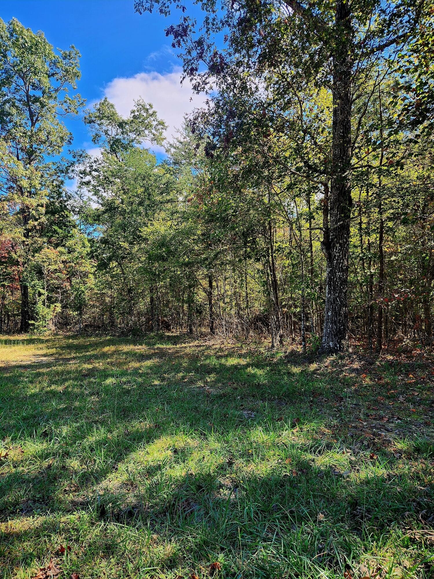 Land Near Camps Gulf Branch