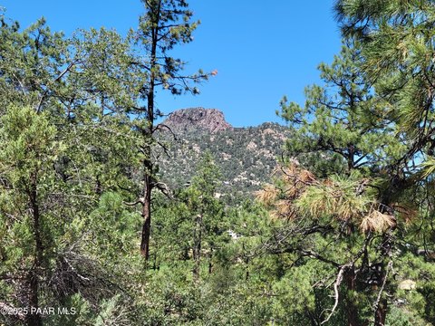Land with Thumb Butte Views