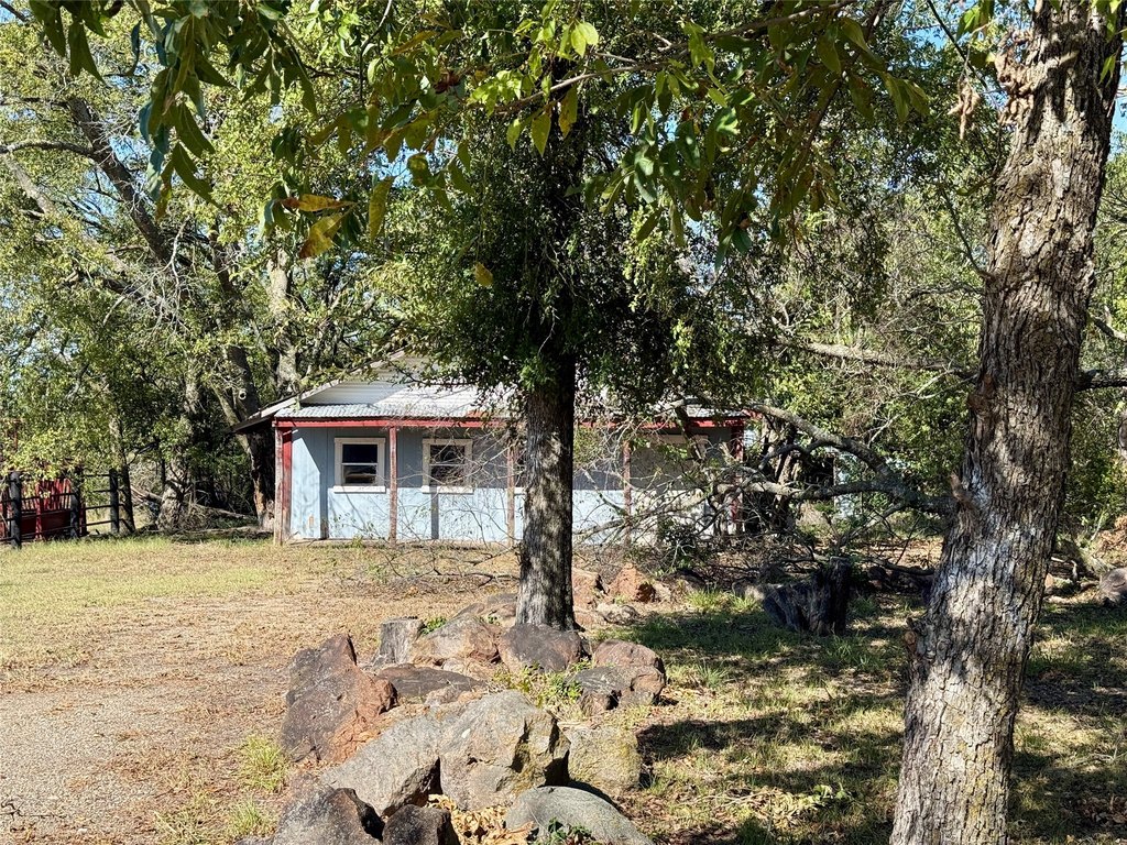 Picture 8