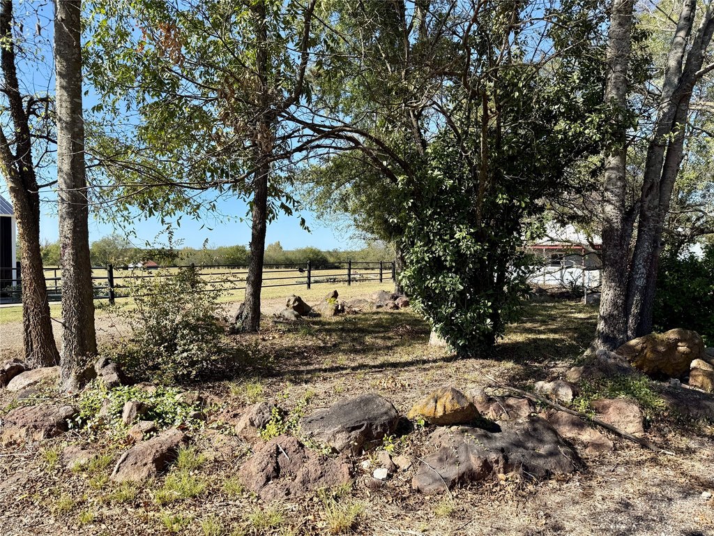 Picture 5