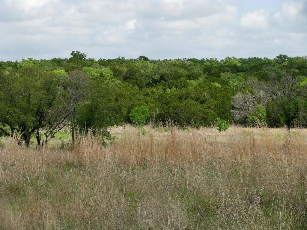 Picture 26