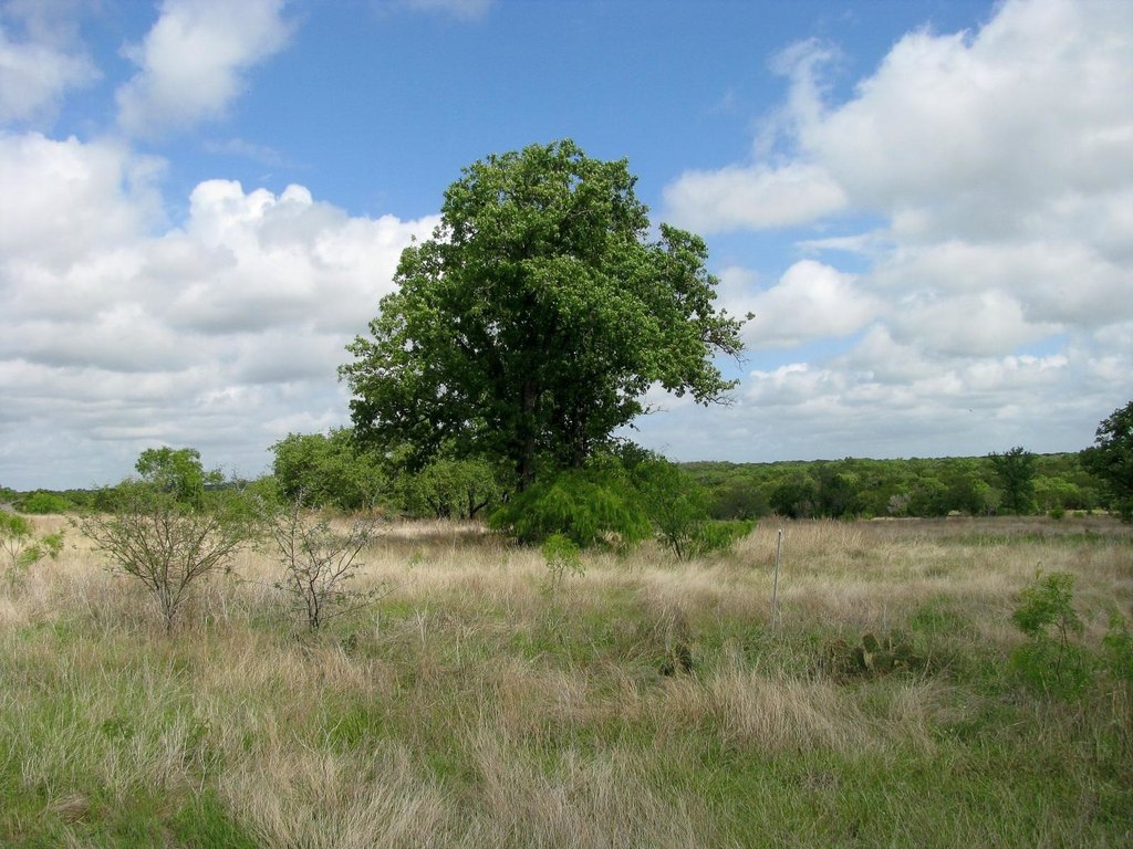 Picture 23