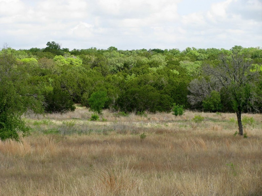 Picture 27