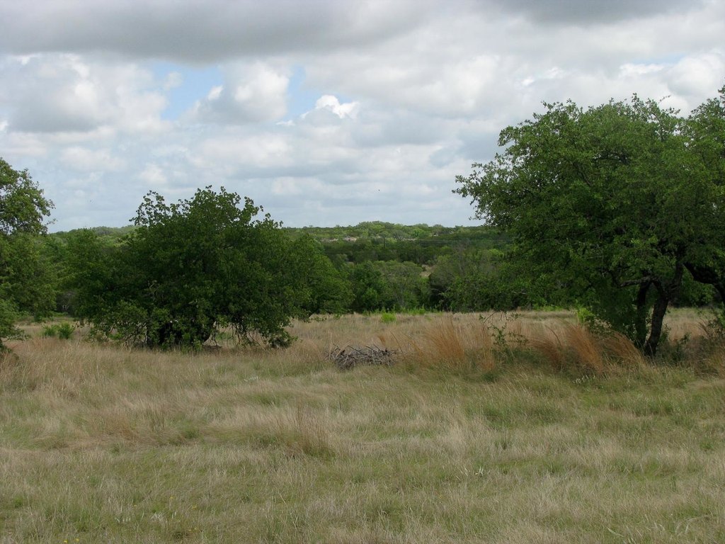 Picture 29